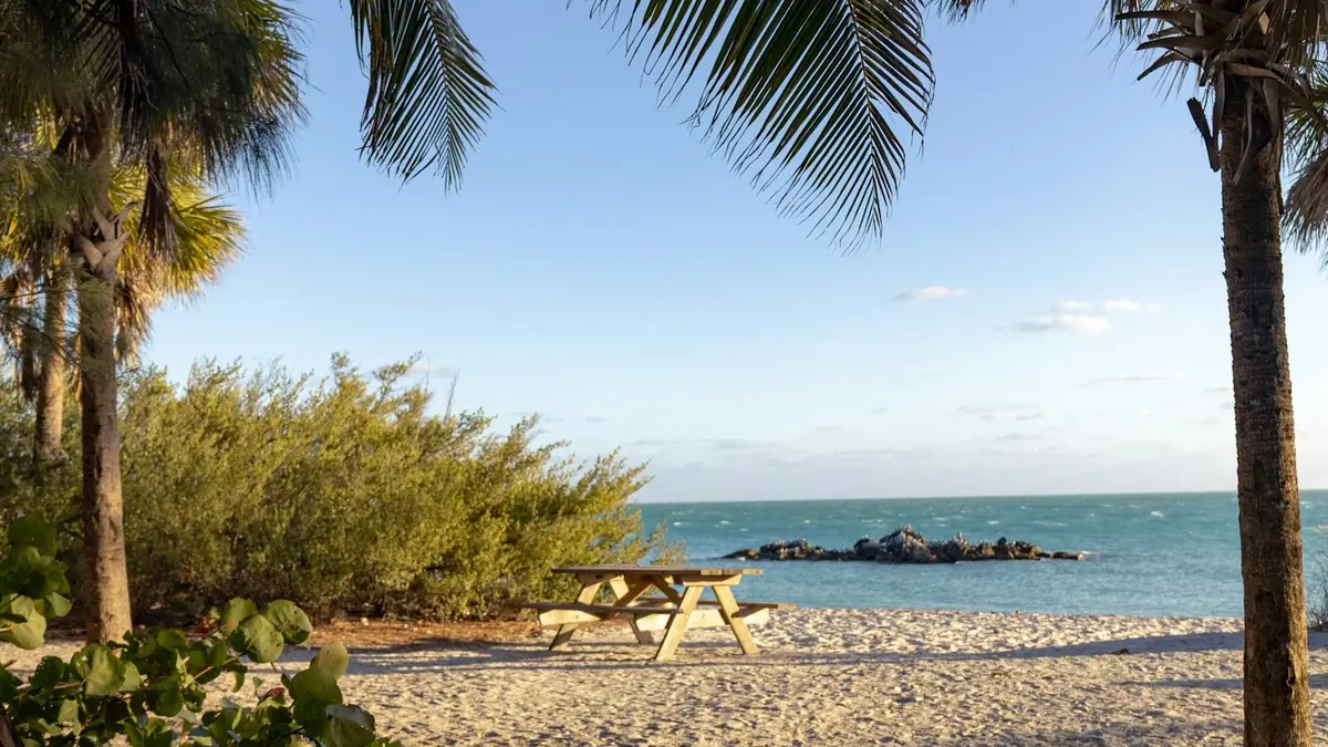 Quiet tropical beach with palm trees, a picnic table and blue ocean in Key West