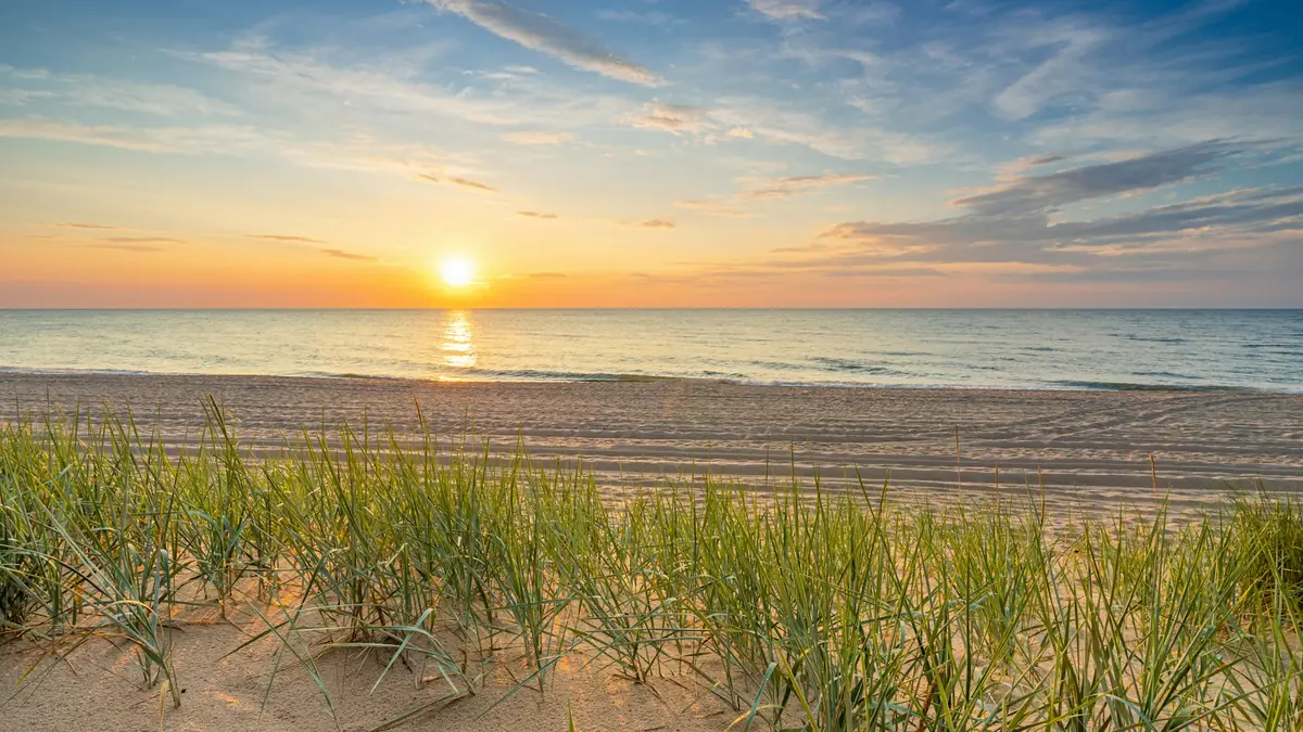 Sunset over a beach with green dune grass in the foreground