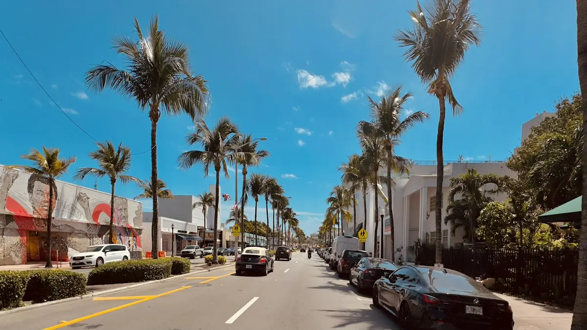 Palm-lined street in a coastal city with cars parked along the curb under a deep blue sky